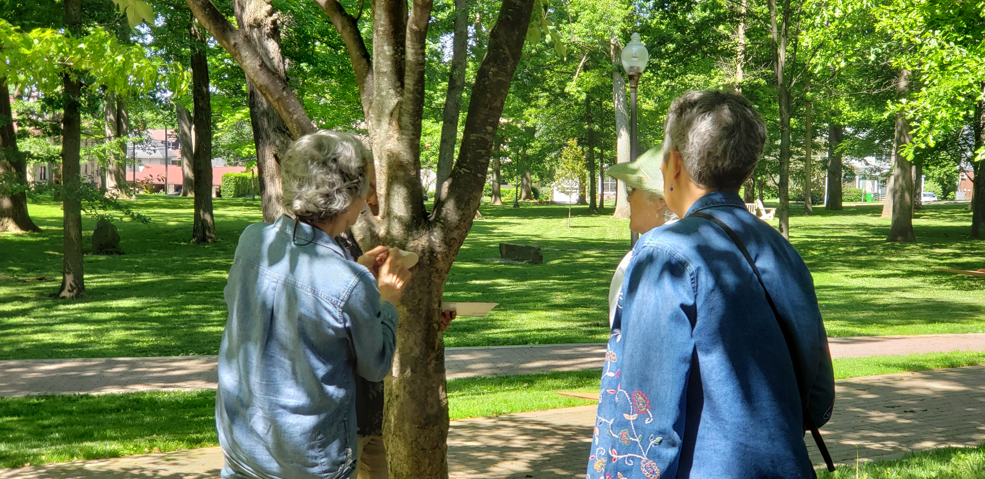 Alumni Treeware 2026