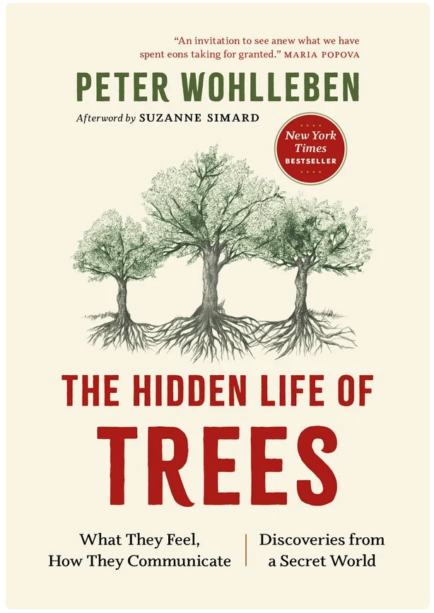 The Hidden Life of Trees
What They Feel, How They Communicate--Discoveries from a Secret World
Peter Wohlleben 

