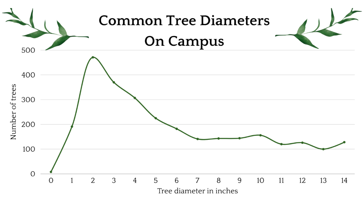 Common Tree Diameters on campus
