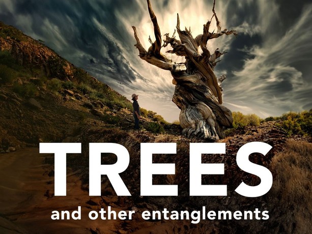 HBO Max’s Trees, and Other Entanglements (2023):  
