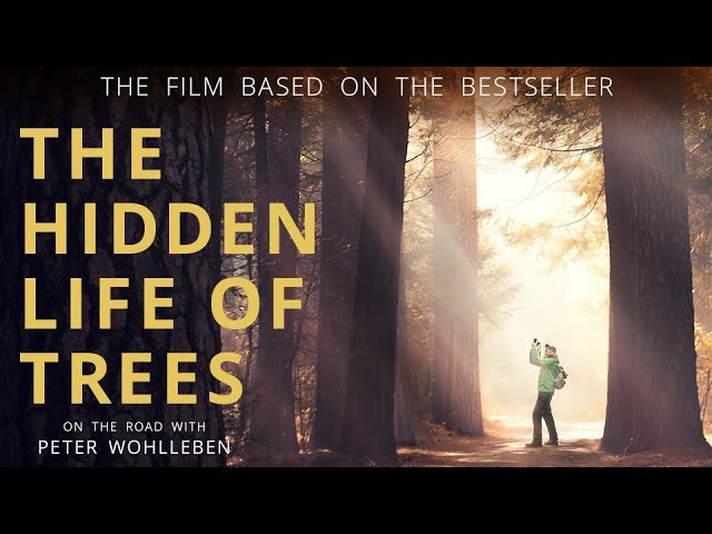 Hidden Life of Trees title sldie