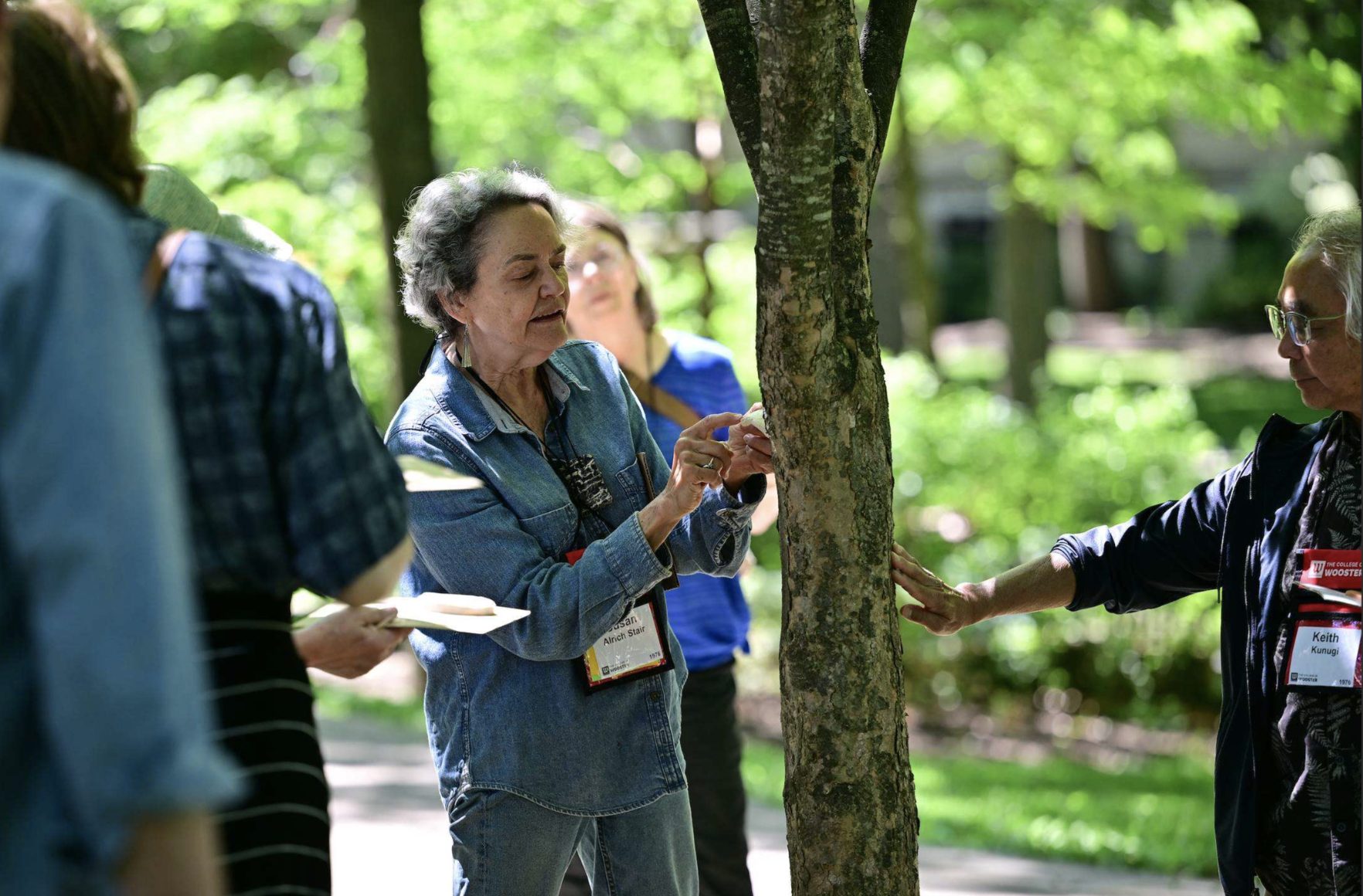 Susan Stair casting a tree at the College of Wooster, 2026