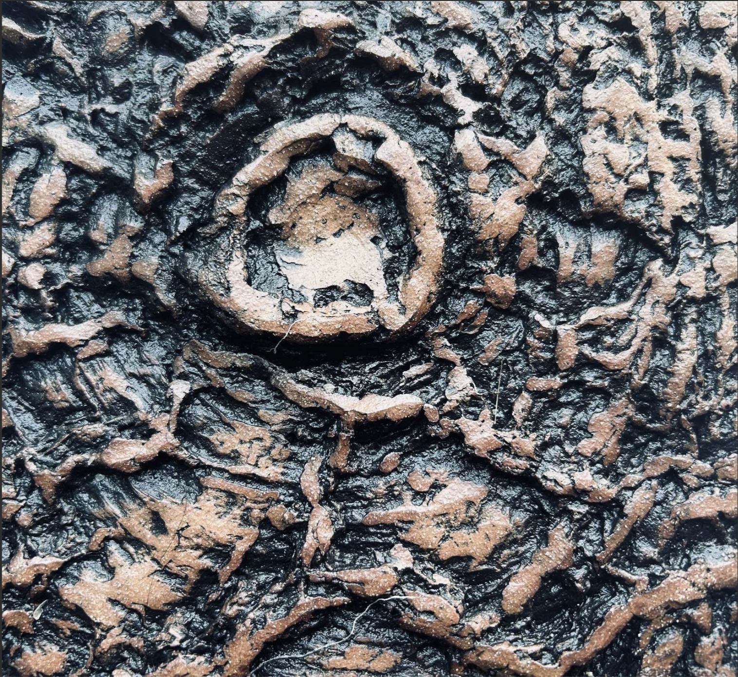 close up of easter white pine